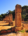 Tipasa, Algrie: square columns- Tipasa Roman ruins, Unesco World Heritage site | colonnes carres - ruines romaines de Tipasa, Patrimoine mondial de l'UNESCO - photo par M.Torres
