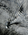 Peter I island / Per I Øy: Lars Christensen Peak rising 1,640 meters from the frigid Bellingshausen Sea - clouds arranged in a ship-wave-shaped wave pattern following the disrupted air currents - photo by NASA,  J.Schmaltz, MODIS RRT/GSFC (in P.D.)